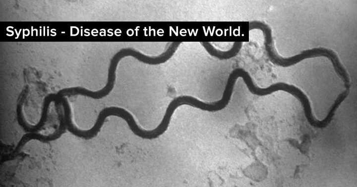 Syphilis: Disease of the New World.