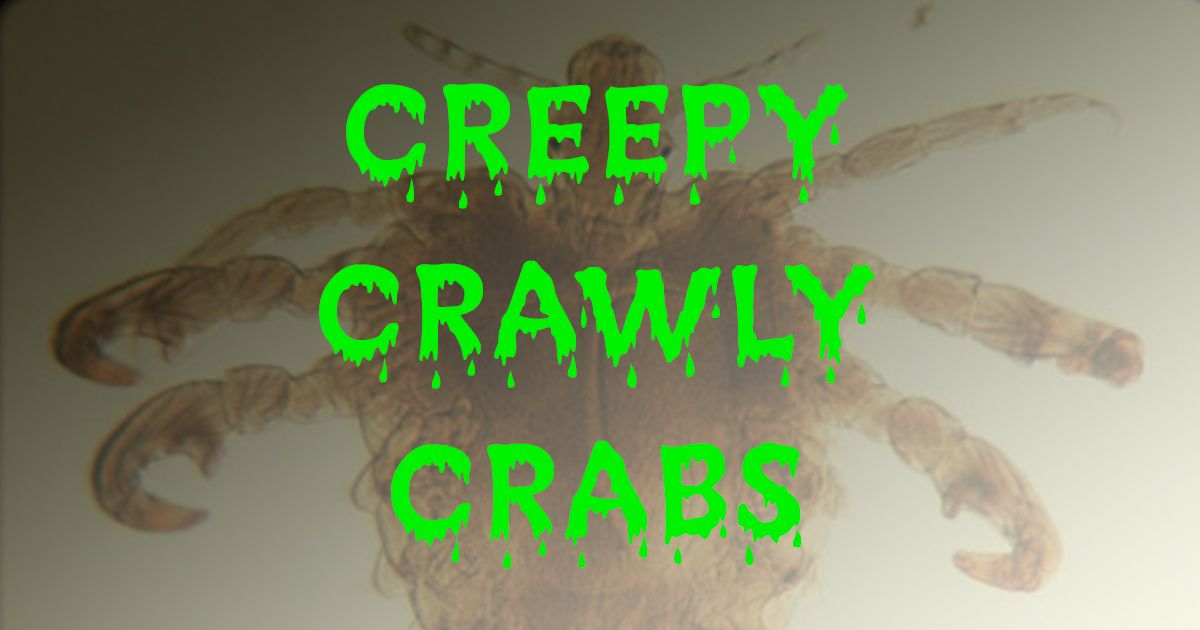 Creepy Crawly Crabs