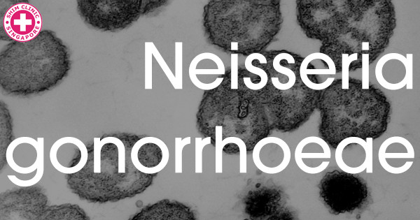 Is it a rash? Is it a stain? No its a superbug: Neisseria gonorrhoeae