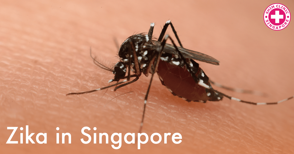 Zika in Singapore