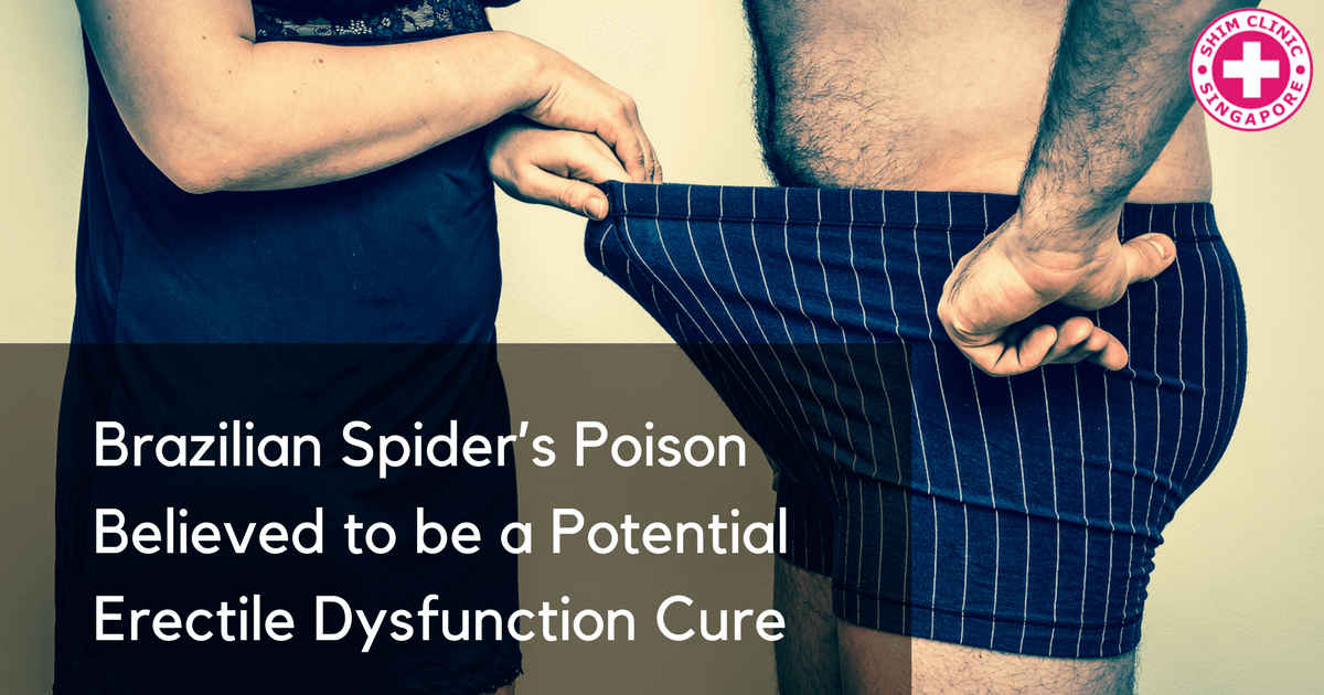Brazilian Spider’s Poison Believed to be a Potential Erectile Dysfunction Cure