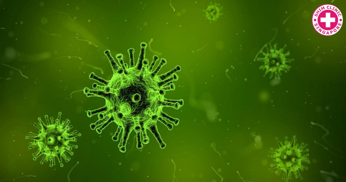The Differences Between Infections from Viruses and from Bacteria