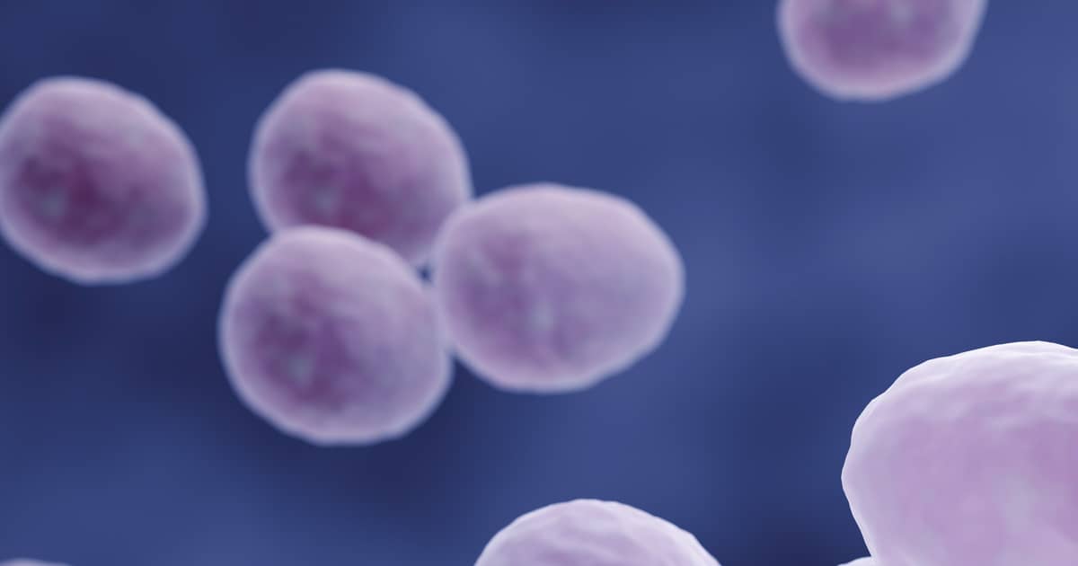 Unveiling Mycoplasma: Understanding the Hidden STI and How to Protect Your Health
