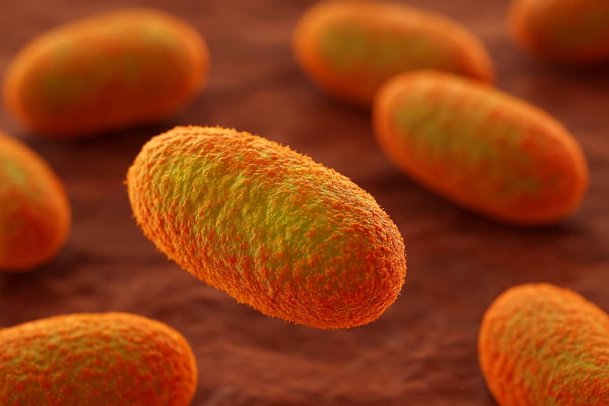 Mycoplasma Genitalium Is the Most Overlooked STI. Here’s Why That Matters