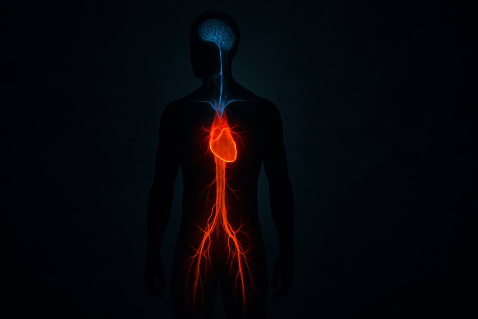 What Your Erection Says About Your Heart: Understanding the Link in Singaporean Men